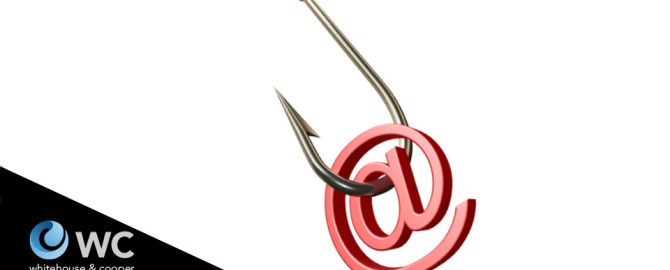 Chinese Scam Preys on Cybersquatting Fears